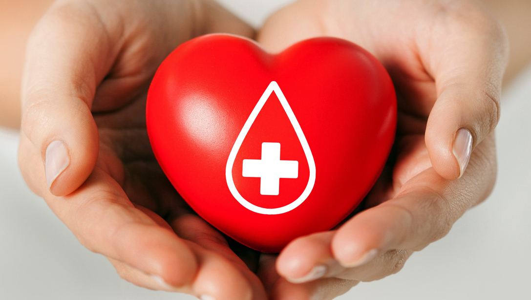 imagen de Hemobus: Jornadas de donación de sangre en el interior del país (agosto)